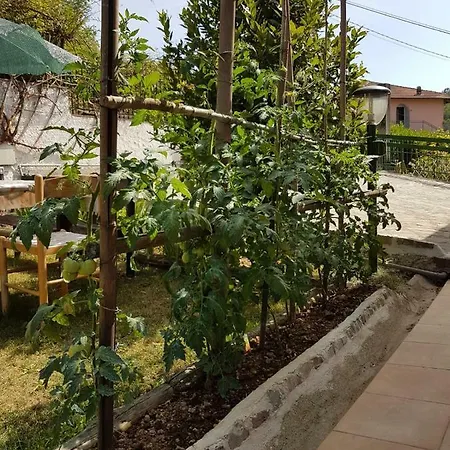 Casa Dirindo * Carrodano Inferiore