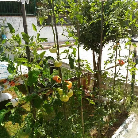 Casa Dirindo דירה